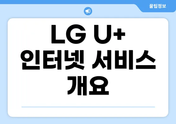 LG U+ 인터넷 서비스 개요