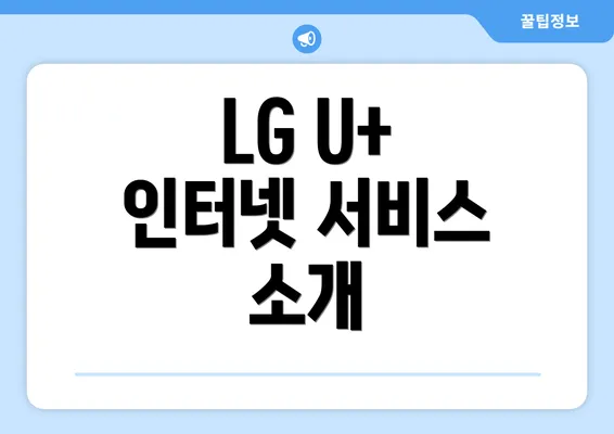 LG U+ 인터넷 서비스 소개