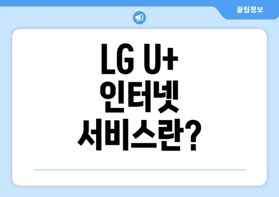 LG U+ 인터넷 서비스란?