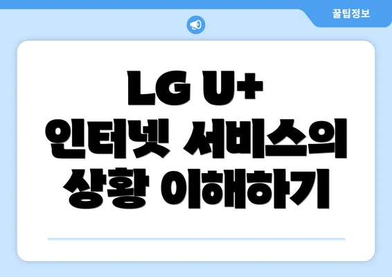 LG U+ 인터넷 서비스의 상황 이해하기