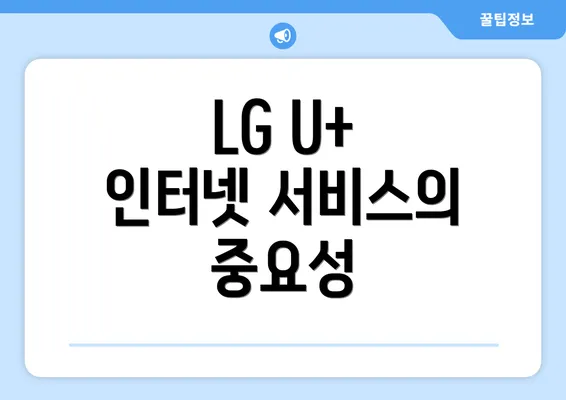 LG U+ 인터넷 서비스의 중요성