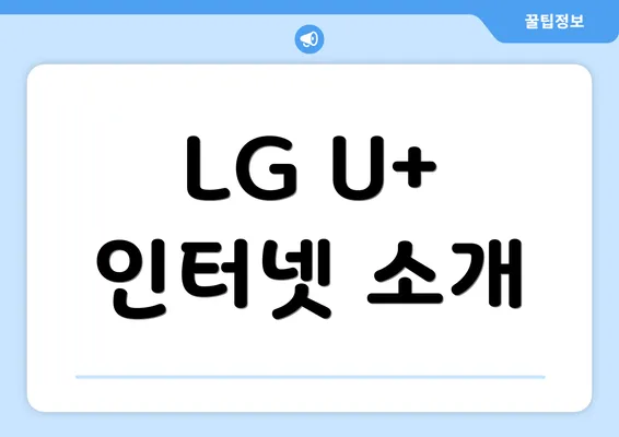 LG U+ 인터넷 소개