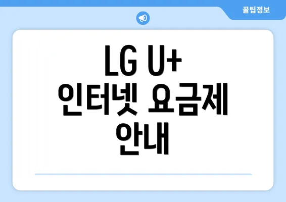 LG U+ 인터넷 요금제 안내