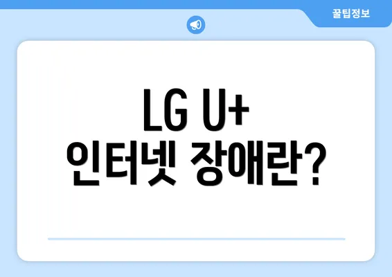 LG U+ 인터넷 장애란?