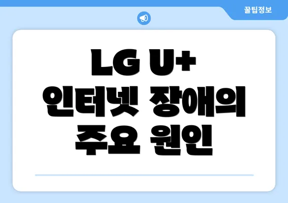 LG U+ 인터넷 장애의 주요 원인