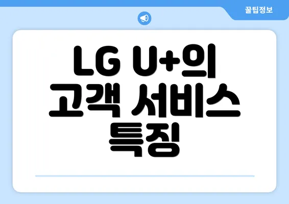 LG U+의 고객 서비스 특징