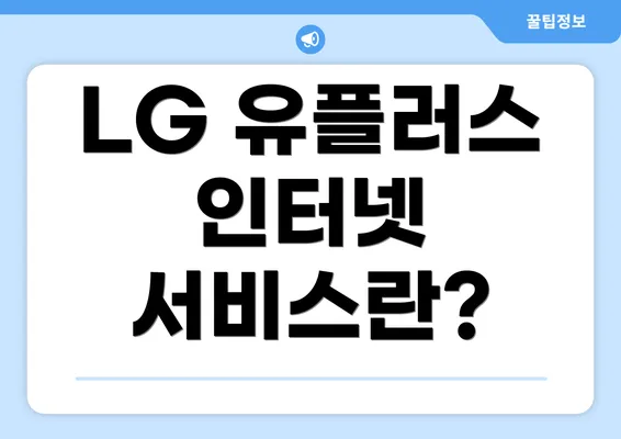 LG 유플러스 인터넷 서비스란?