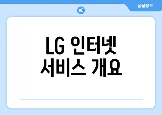 LG 인터넷 서비스 개요