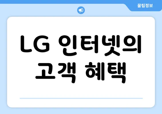 LG 인터넷의 고객 혜택