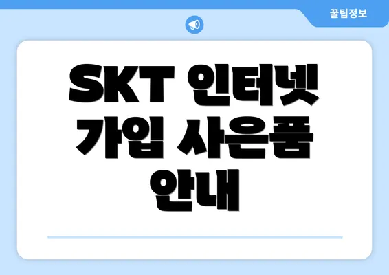 SKT 인터넷 가입 사은품 안내