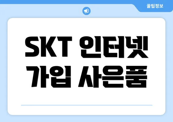 SKT 인터넷 가입 사은품