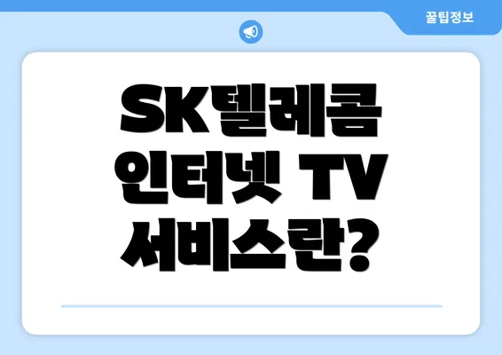 SK텔레콤 인터넷 TV 서비스란?