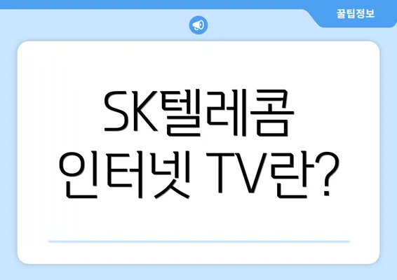 SK텔레콤 인터넷 TV란?