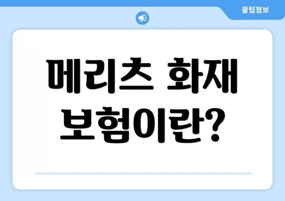 메리츠 화재 보험이란?