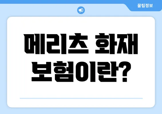 메리츠 화재 보험이란?