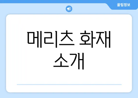 메리츠 화재 소개