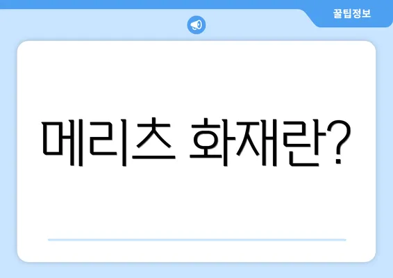 메리츠 화재란?