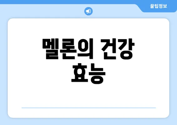 멜론의 건강 효능