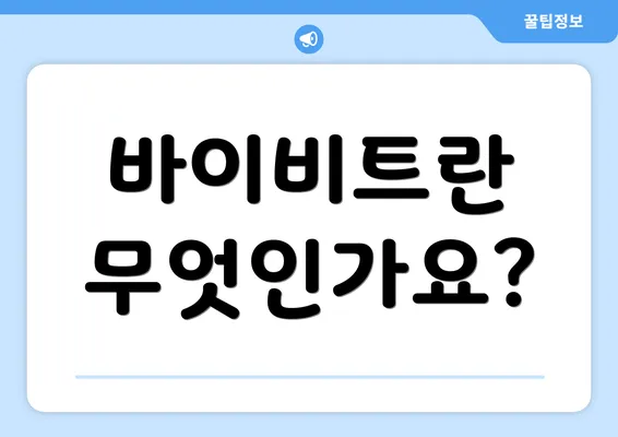 바이비트란 무엇인가요?