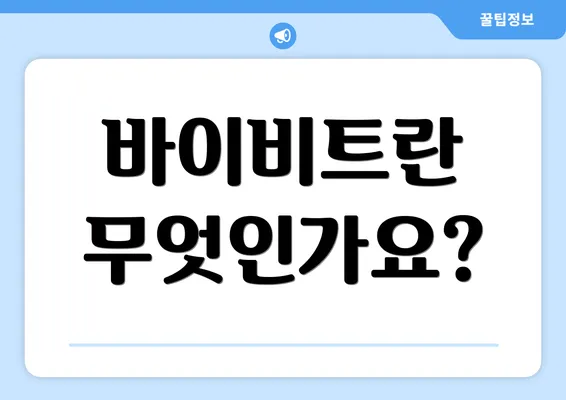 바이비트란 무엇인가요?