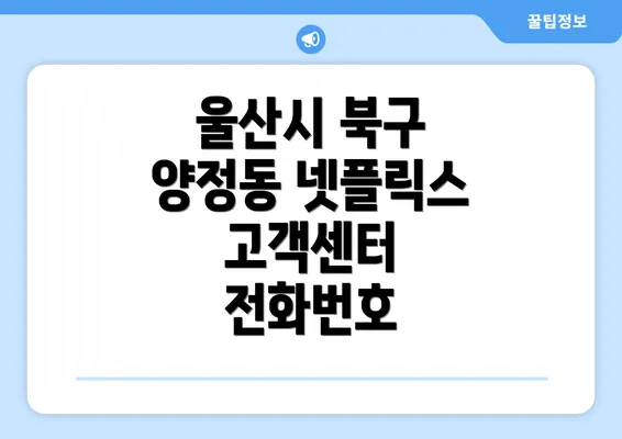 울산시 북구 양정동 넷플릭스 고객센터 전화번호