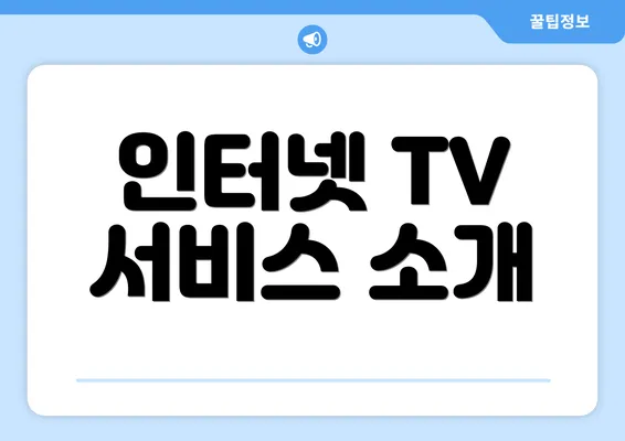 인터넷 TV 서비스 소개