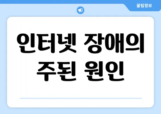 인터넷 장애의 주된 원인