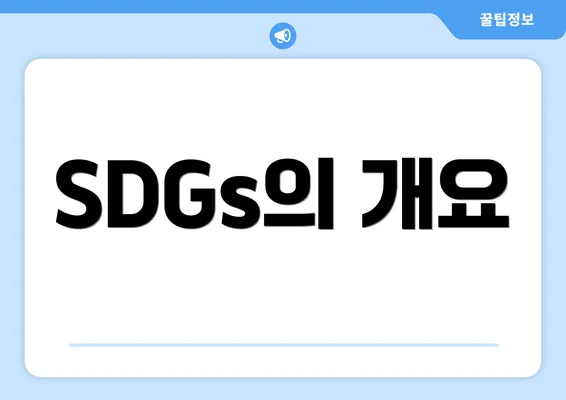 SDGs의 개요