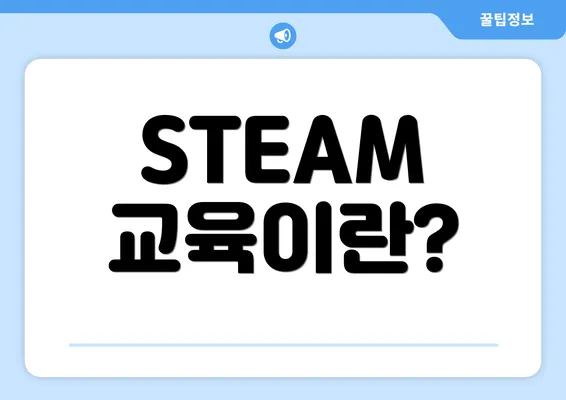 STEAM 교육이란?