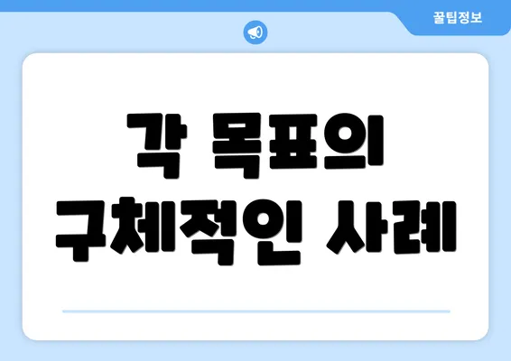 각 목표의 구체적인 사례