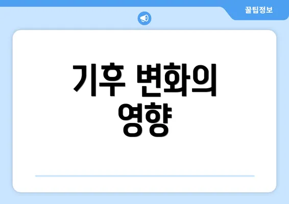 기후 변화의 영향