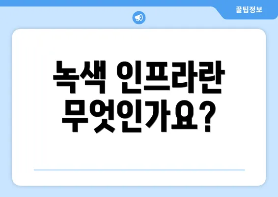 녹색 인프라란 무엇인가요?