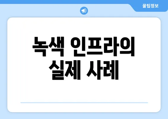 녹색 인프라의 실제 사례