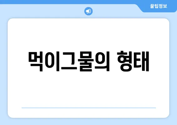 먹이그물의 형태