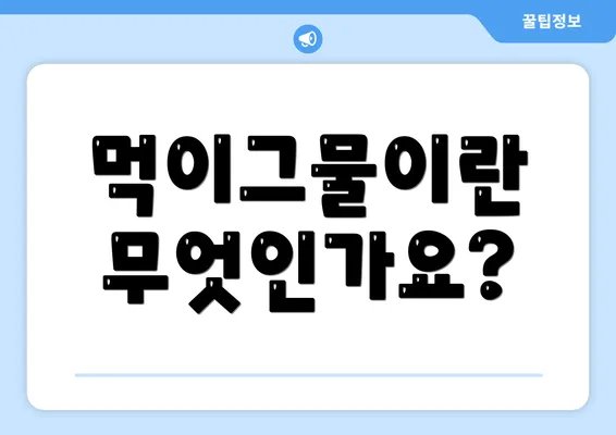 먹이그물이란 무엇인가요?