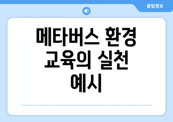 메타버스 환경 교육의 실천 예시
