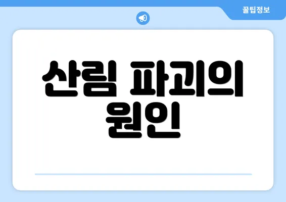 산림 파괴의 원인