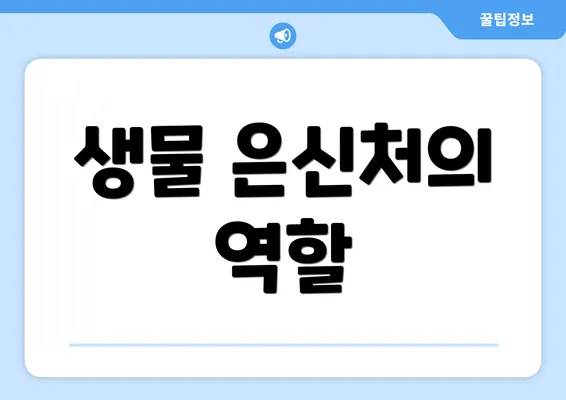 생물 은신처의 역할