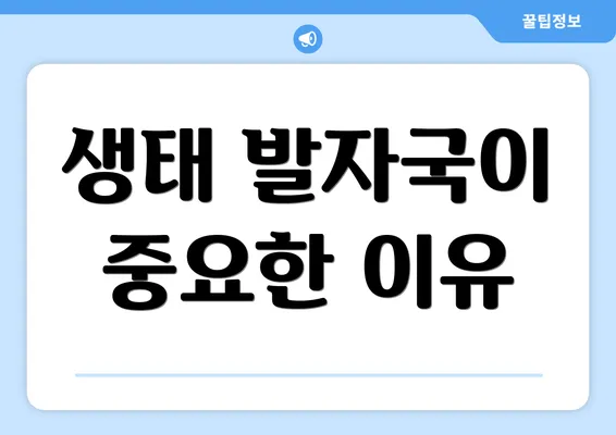 생태 발자국이 중요한 이유