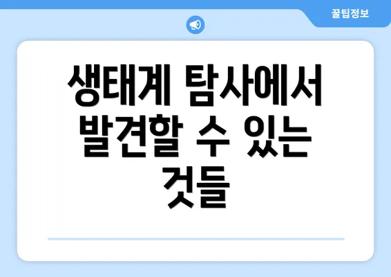 생태계 탐사에서 발견할 수 있는 것들