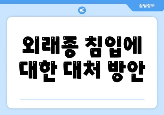 외래종 침입에 대한 대처 방안