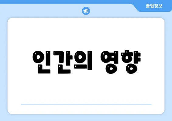 인간의 영향