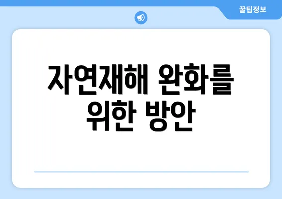 자연재해 완화를 위한 방안