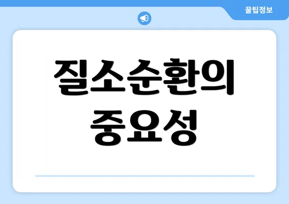 질소순환의 중요성