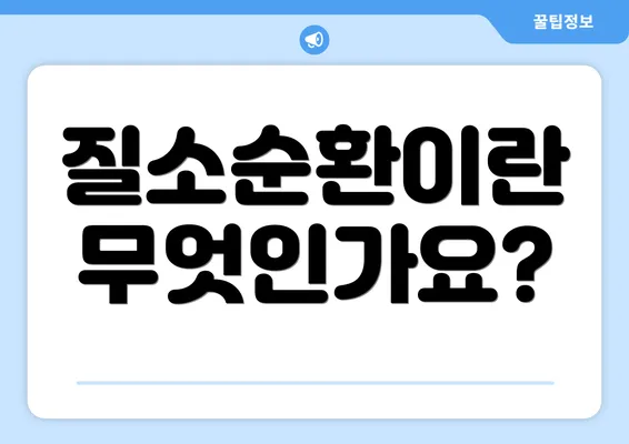 질소순환이란 무엇인가요?