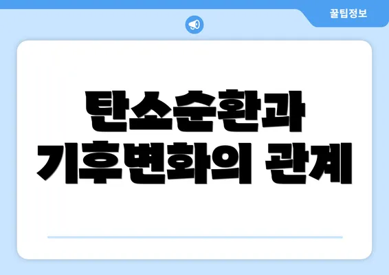 탄소순환과 기후변화의 관계