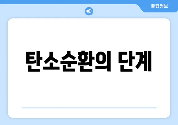 탄소순환의 단계