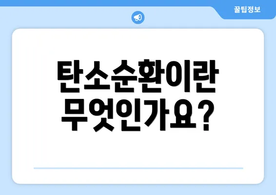 탄소순환이란 무엇인가요?