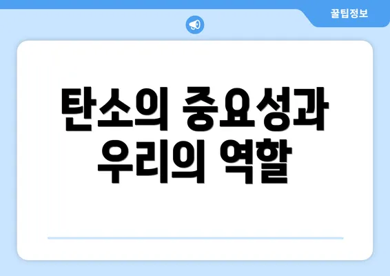 탄소의 중요성과 우리의 역할