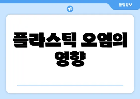 플라스틱 오염의 영향